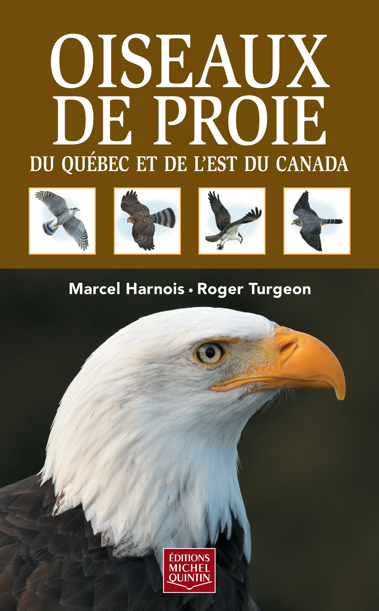 OISEAUX DE PROIE DU QUEBEC ET DE L'EST DU CANADA