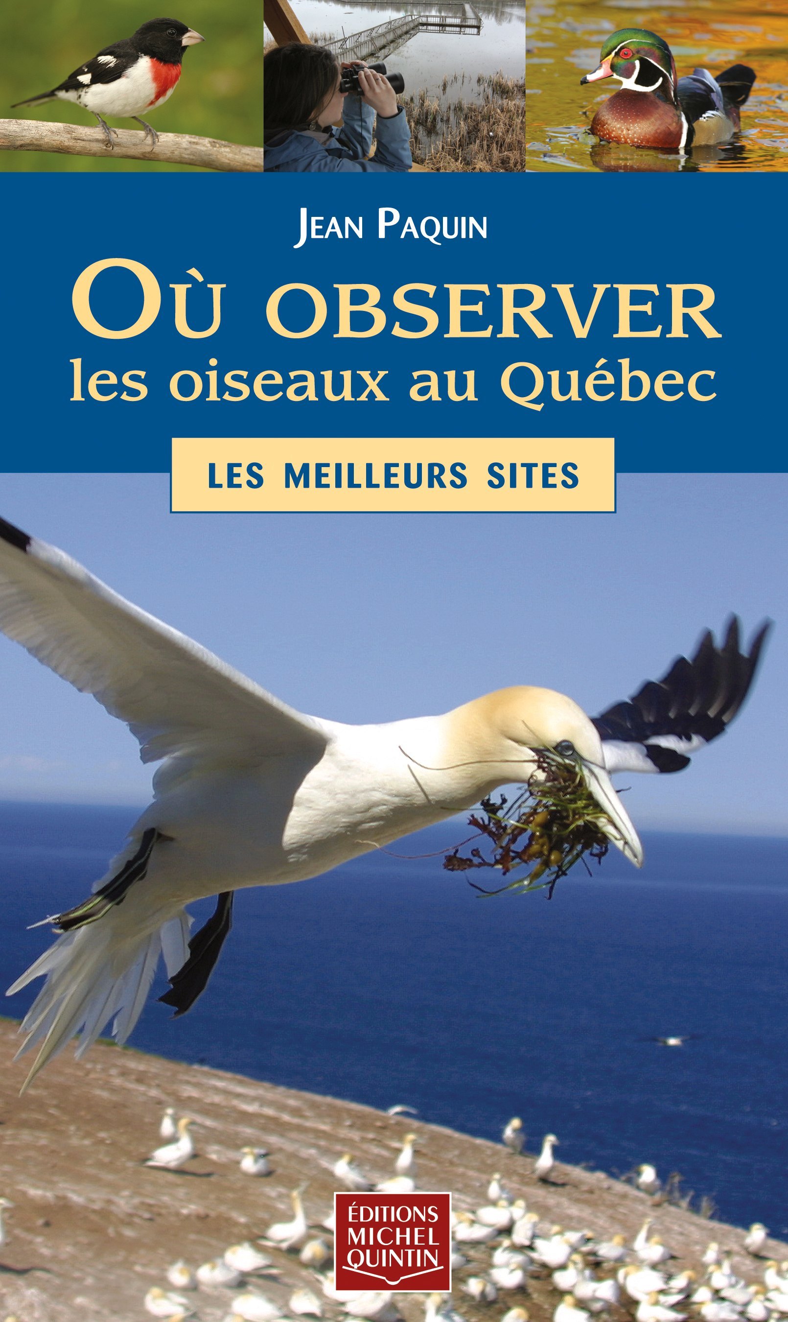 OU OBSERVER LES OISEAUX AU QUEBEC. LES MEILLEURS SITES