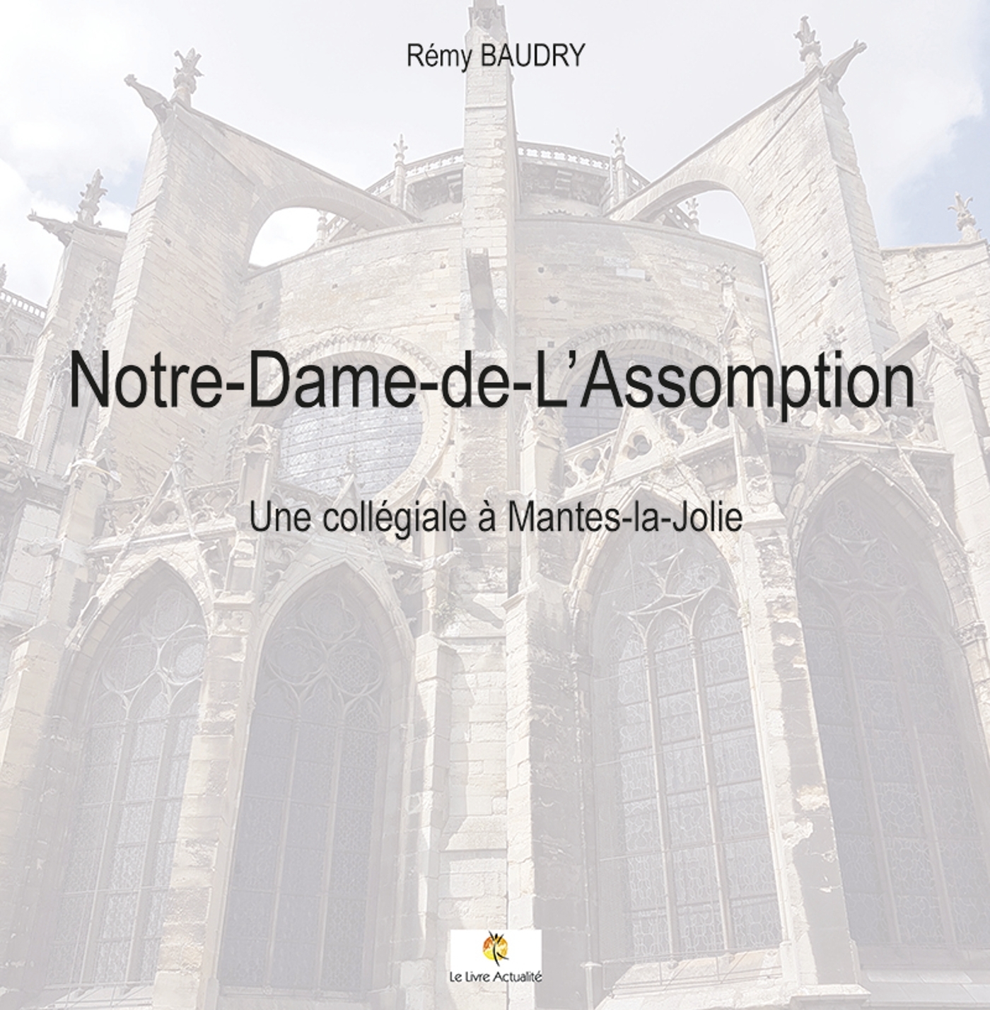 Notre-Dame-de-L'assomption - Une collégiale à Mantes-la-Jolie