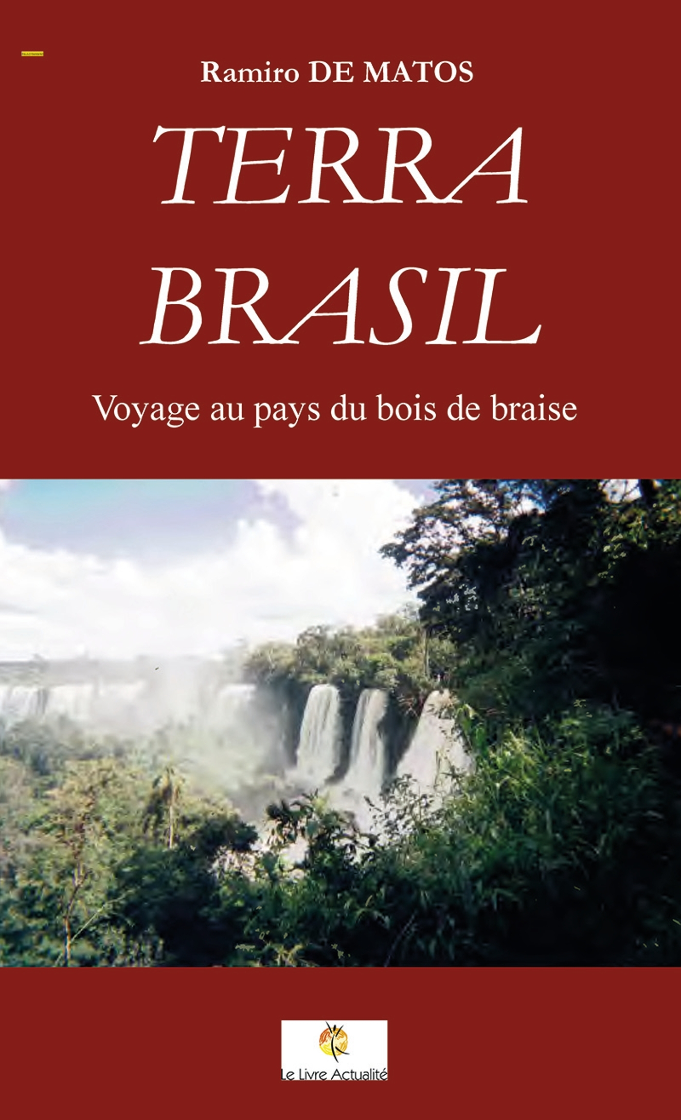 Terra brasil