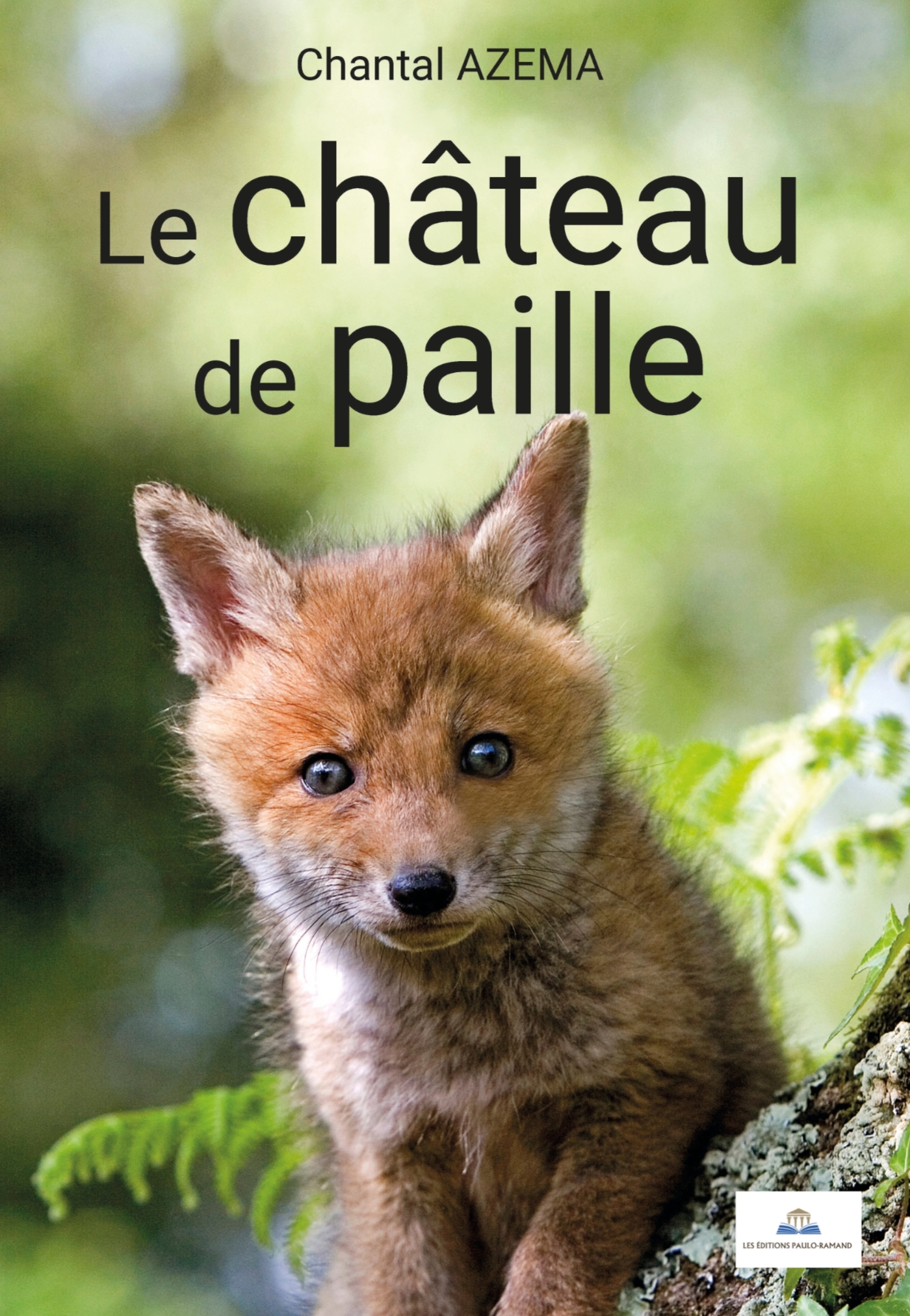 LE CHÂTEAU DE PAILLE