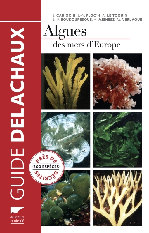 Algues des mers d'Europe