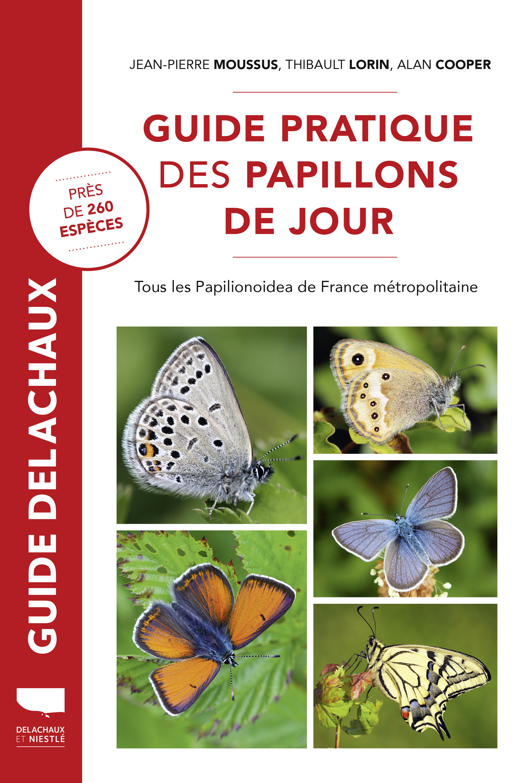 Guide pratique des papillons de jour