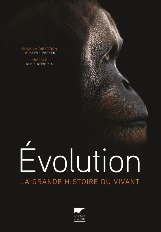 Évolution