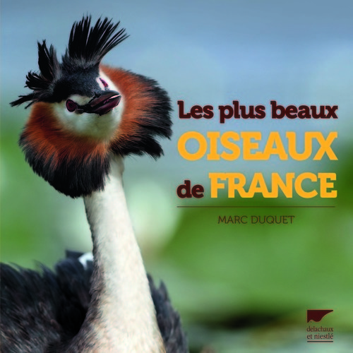 LES PLUS BEAUX OISEAUX DE FRANCE