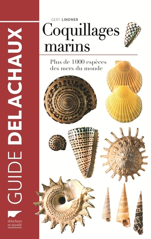 COQUILLAGES MARINS. PLUS DE 1000 ESPECES DE S MERS DU MONDE NE