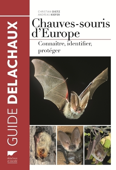Chauves-souris d'Europe