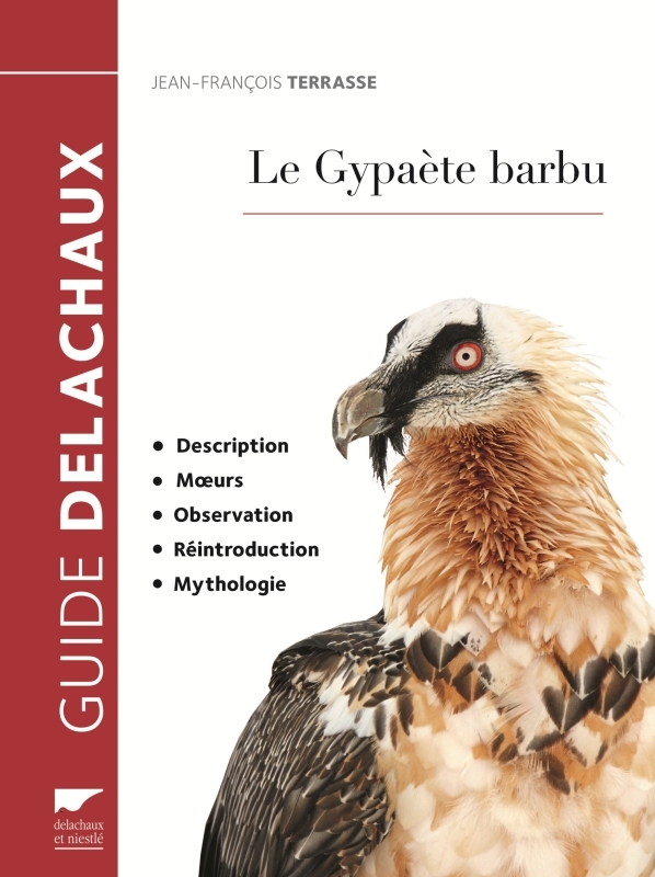 Le Gypaète barbu