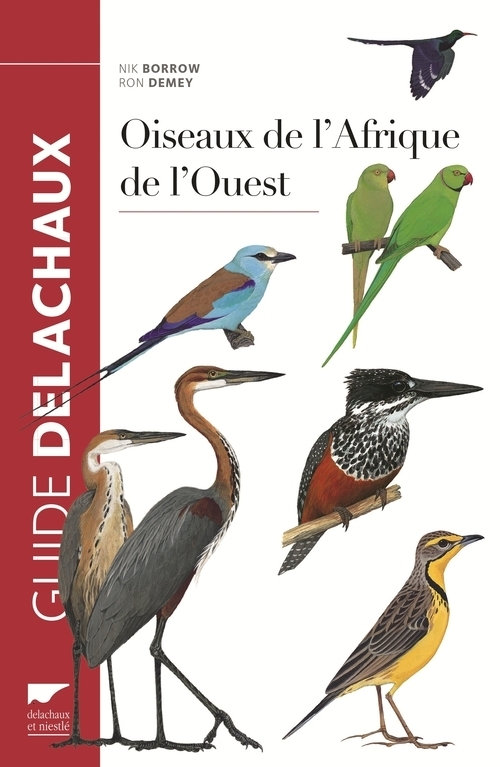 Oiseaux de l'Afrique de l'Ouest