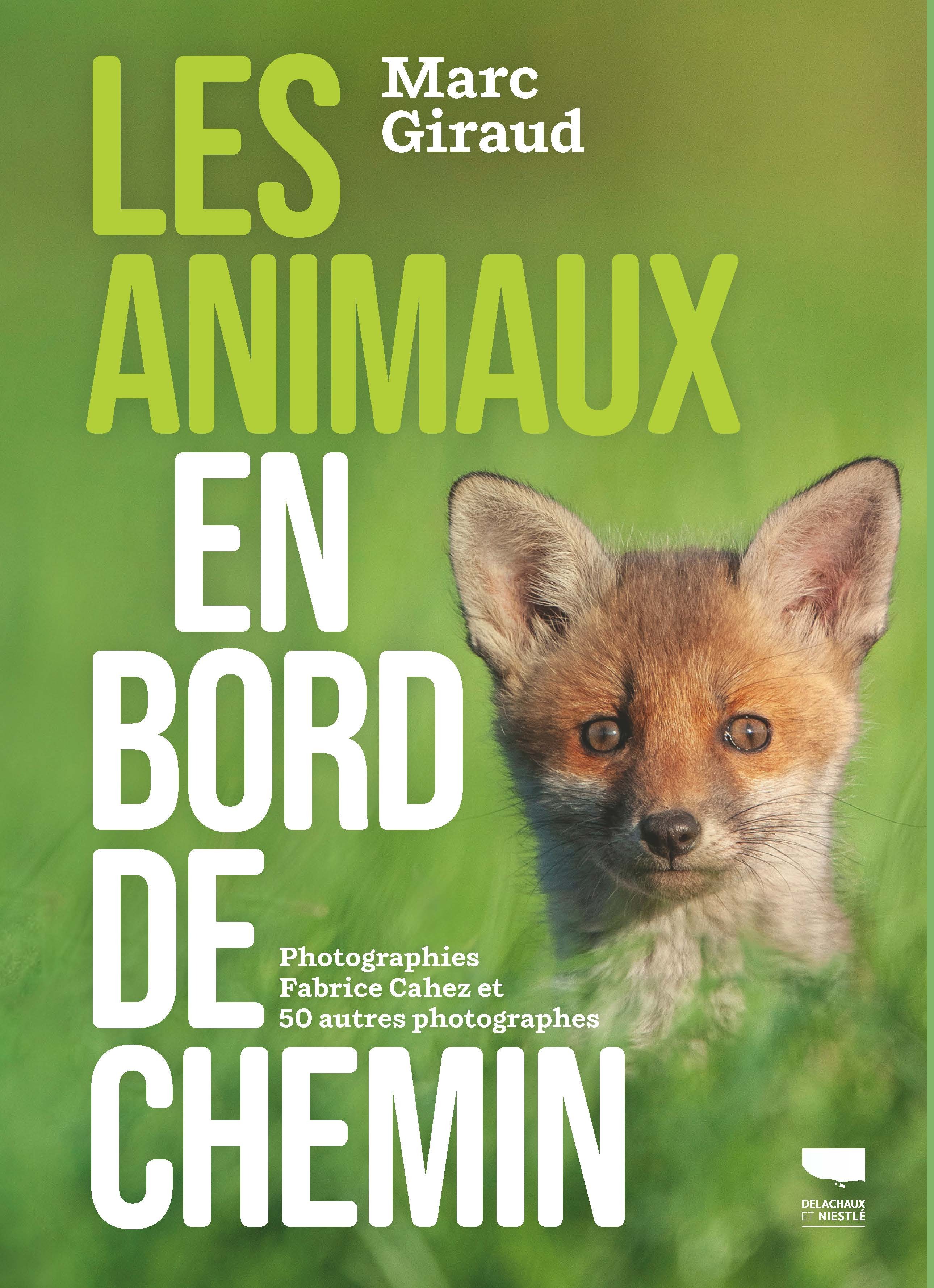 Animaux en bord de chemin