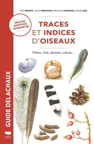 Traces et indices d'oiseaux