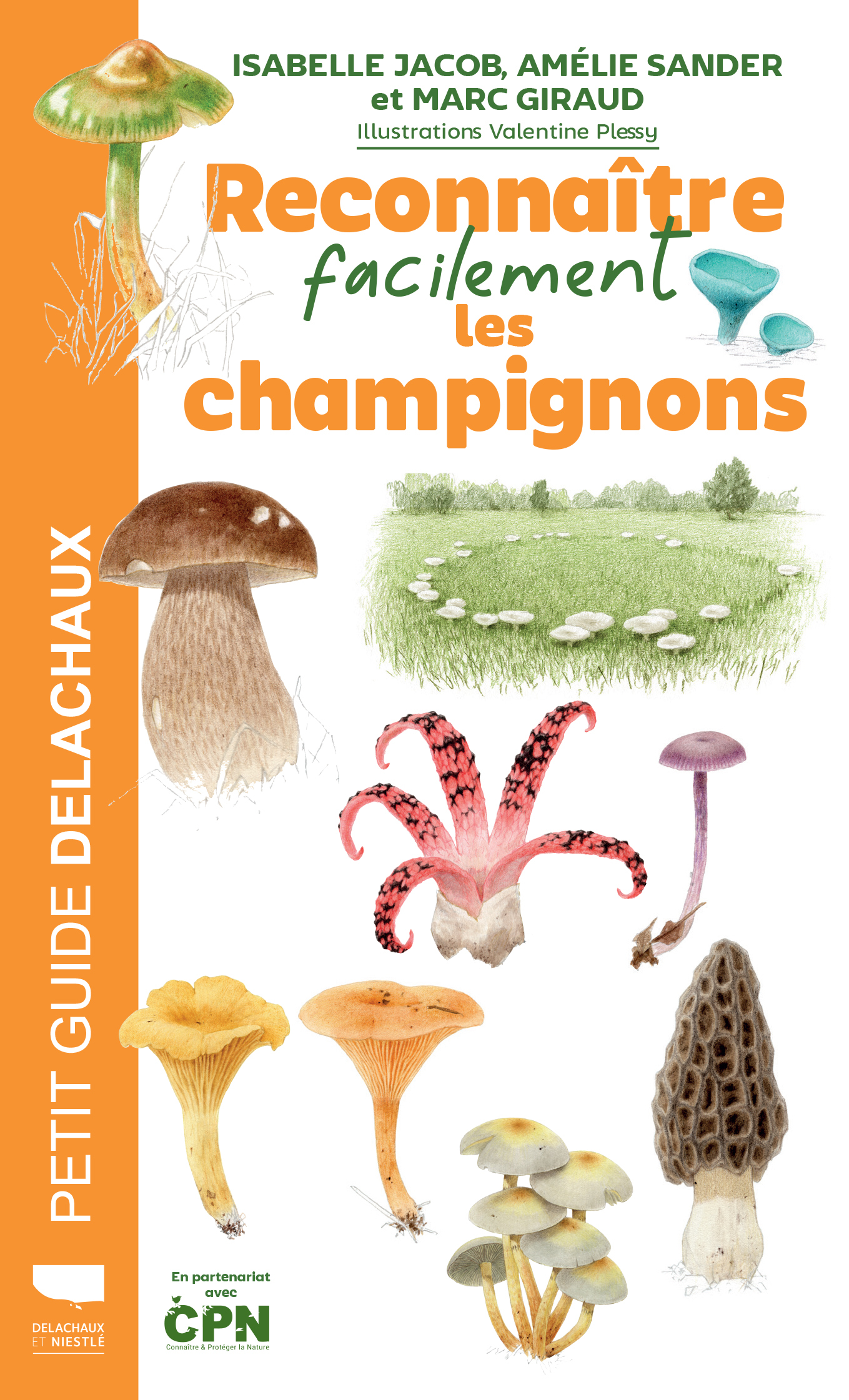 Reconnaître facilement les champignons