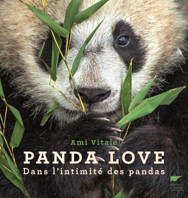 PANDA LOVE - DANS L-INTIMITE DES PANDAS