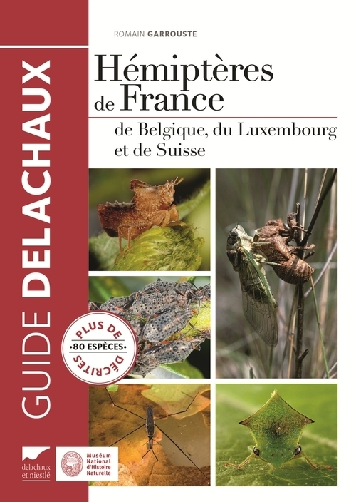 HEMIPTERES DE FRANCE DE BELGIQUE DU LUXEMBOURG ET DE SUISSE