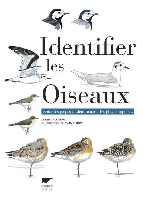 Identifier les oiseaux