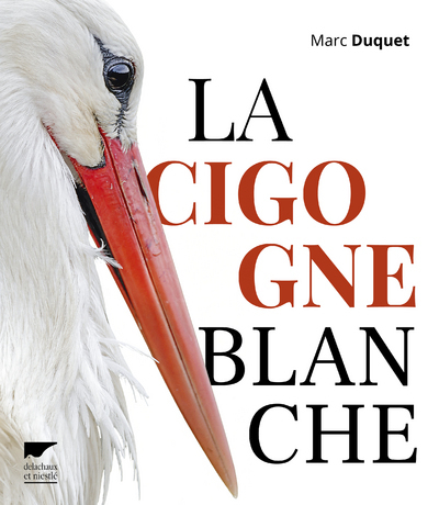 La Cigogne blanche