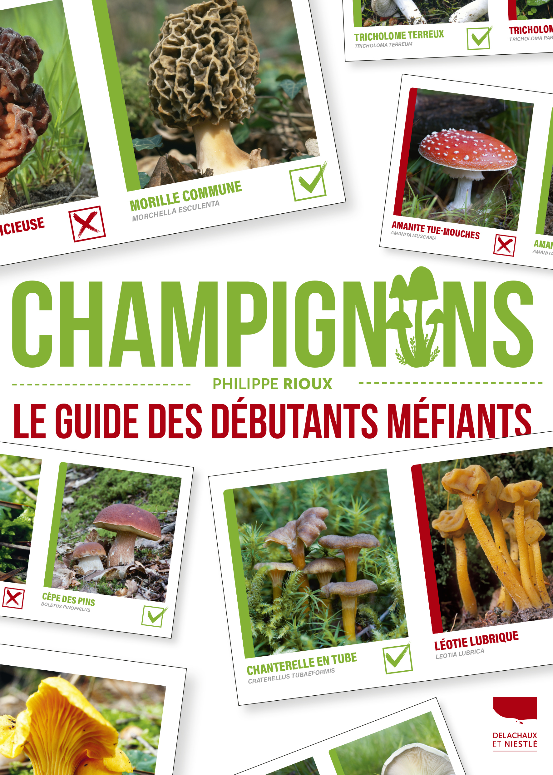 Champignons
