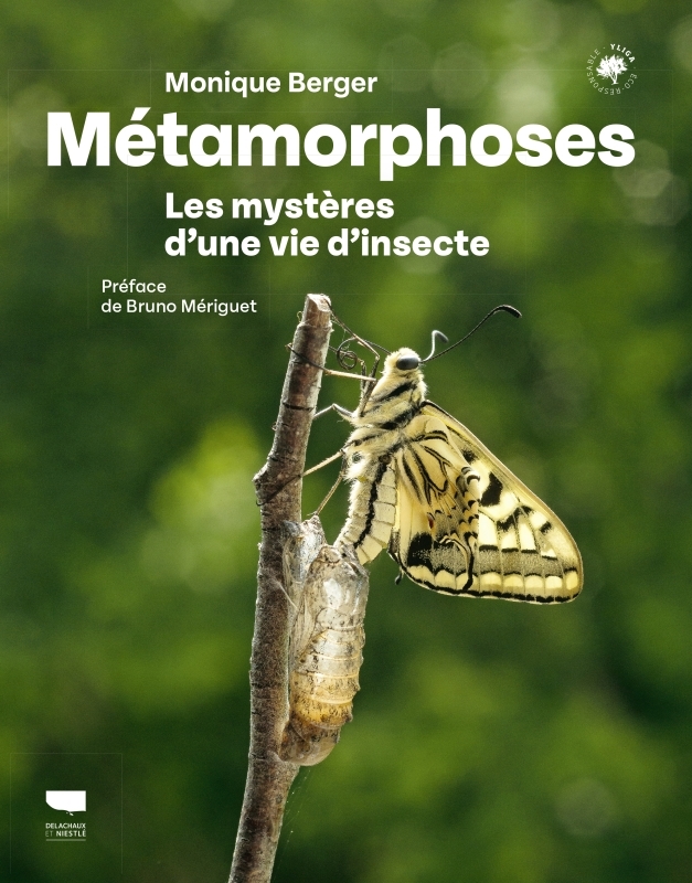 Métamorphoses