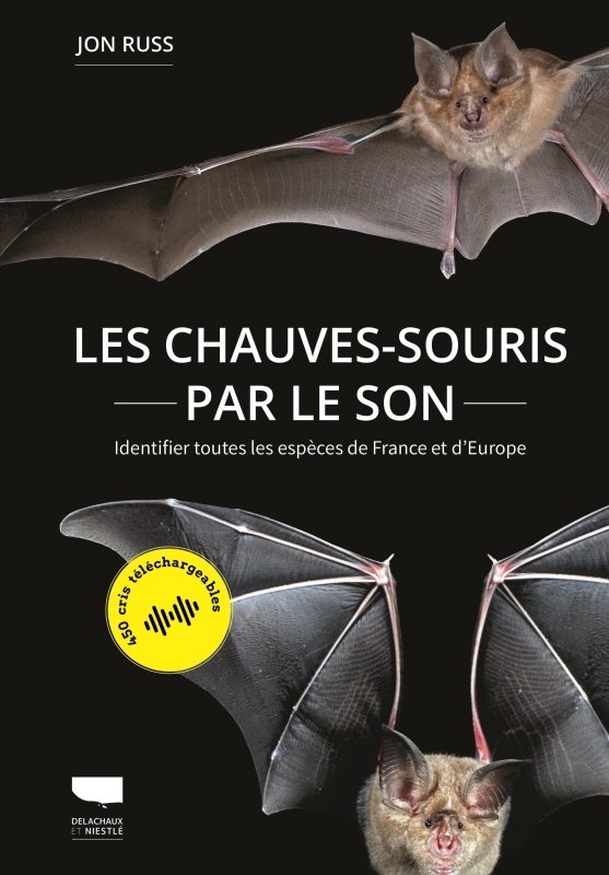 Les Chauves-souris par le son