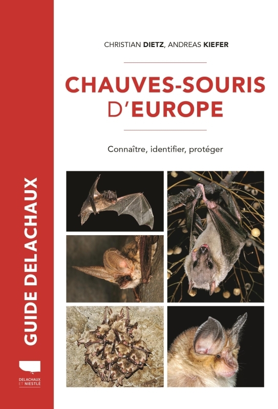 Chauves-souris d'Europe