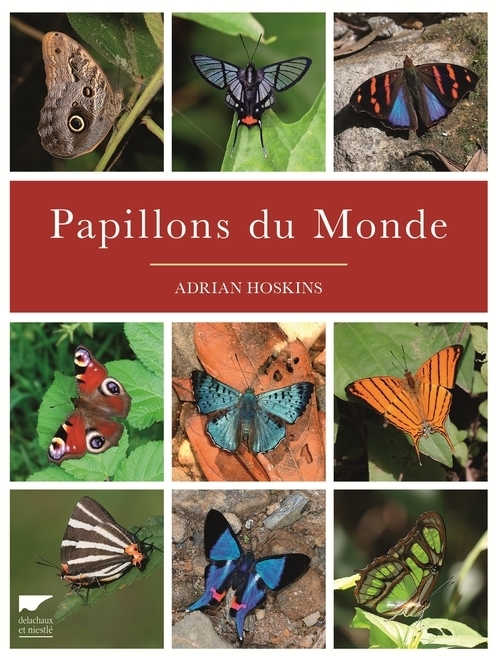 PAPILLONS DU MONDE 1 OP 10/17