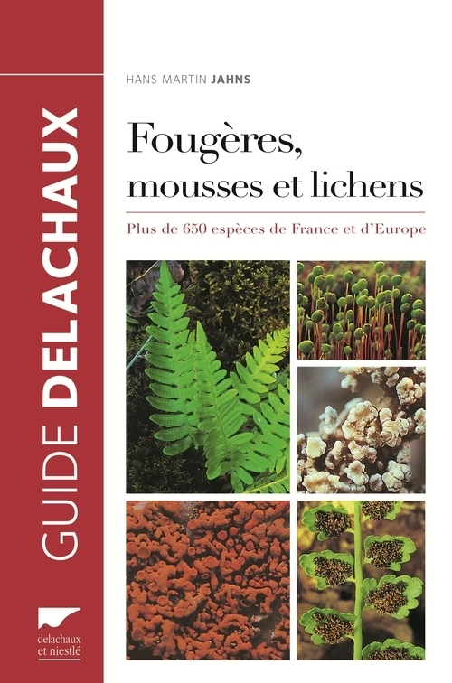 FOUGERES, MOUSSES ET LICHENS . PLUS DE 650 ESPECES DE FRANCE ET D-EUROPE 1 OP 02/17