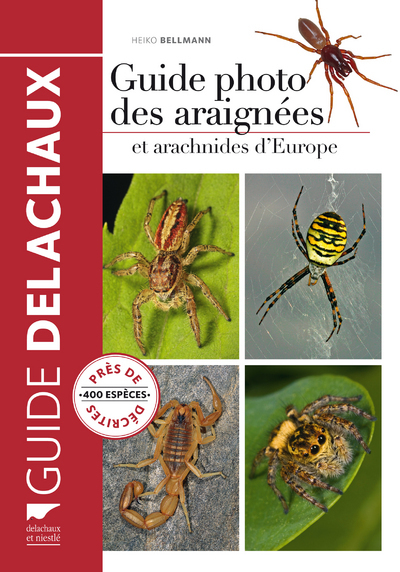 Guide photo des araignées et arachnides d'Europe