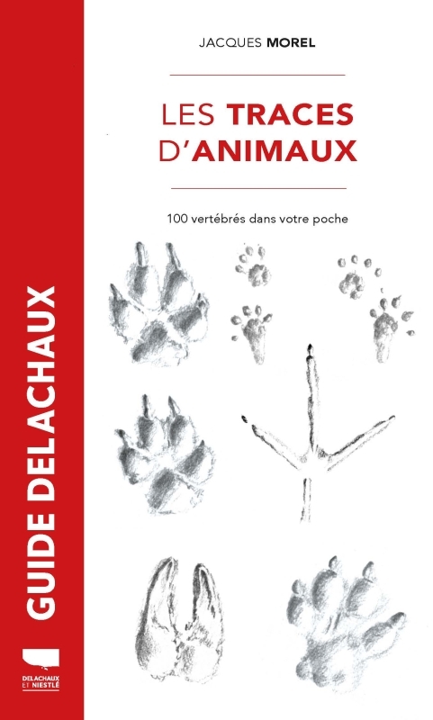 Traces d'animaux