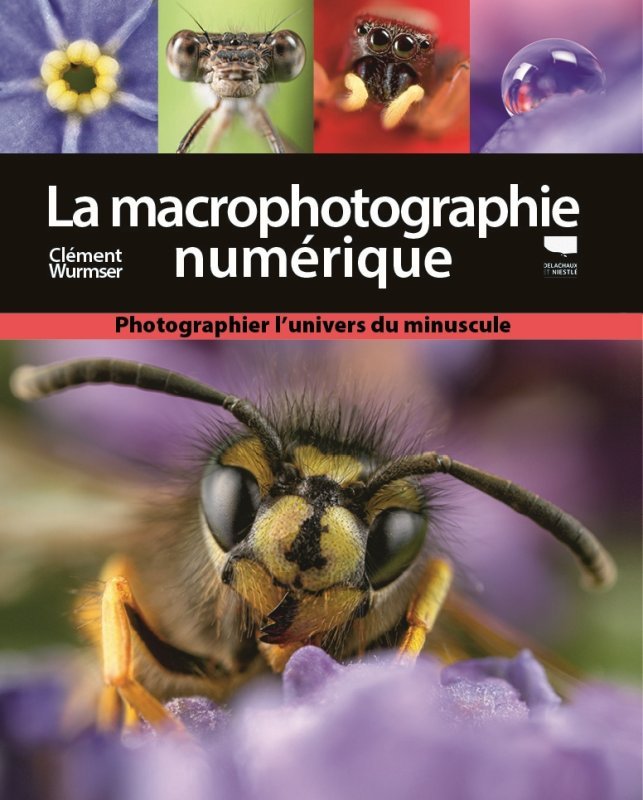 La Macrophotographie numérique