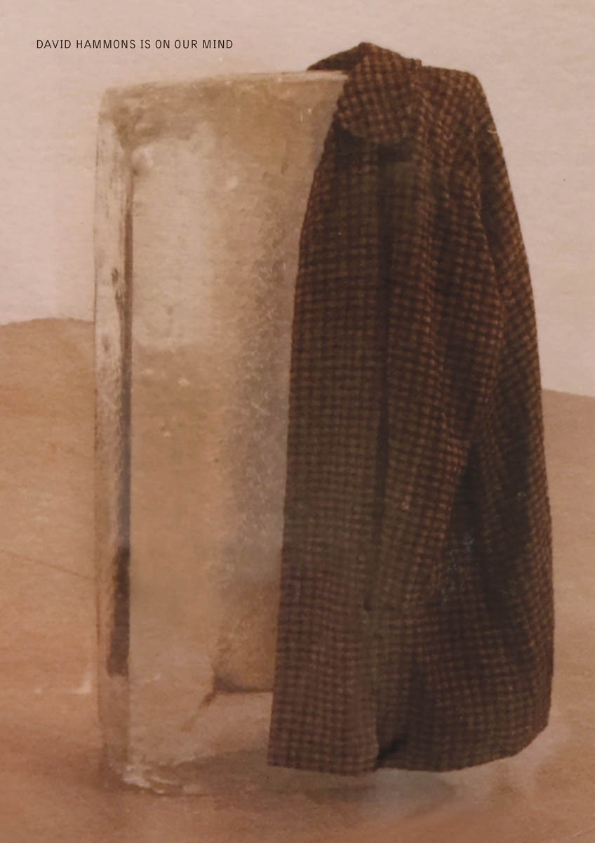 David Hammons Is on Our Mind /anglais