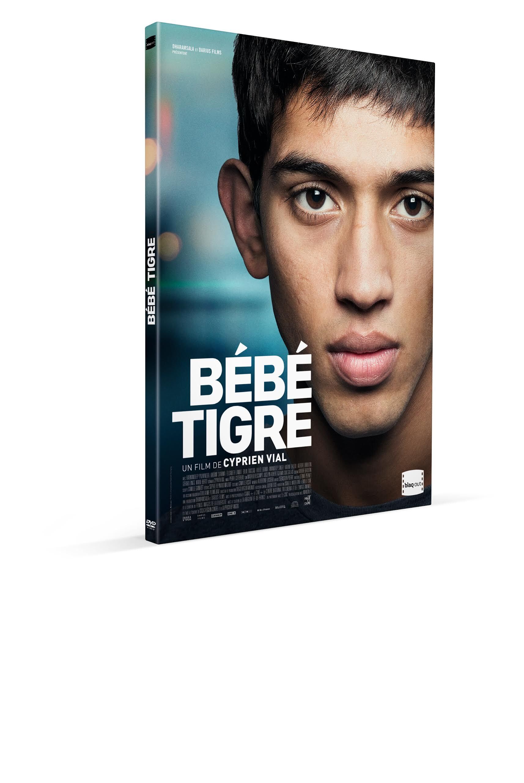 BEBE TIGRE - DVD