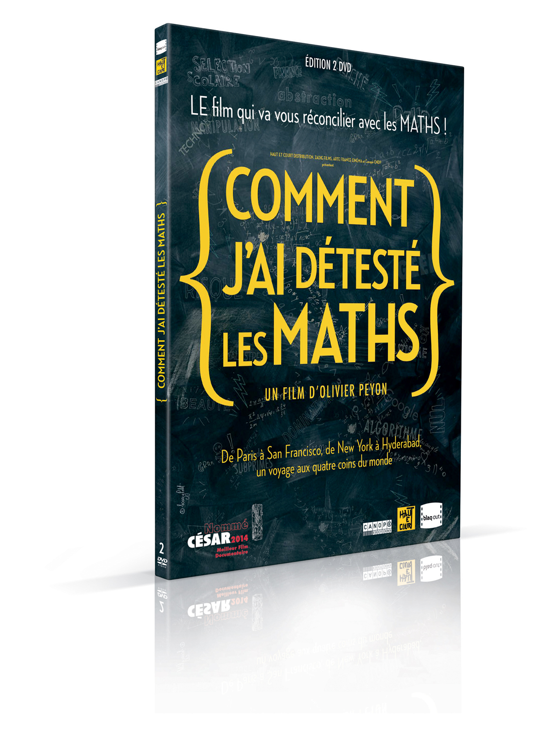 COMMENT J'AI DETESTE LES MATHS - 2 DVD