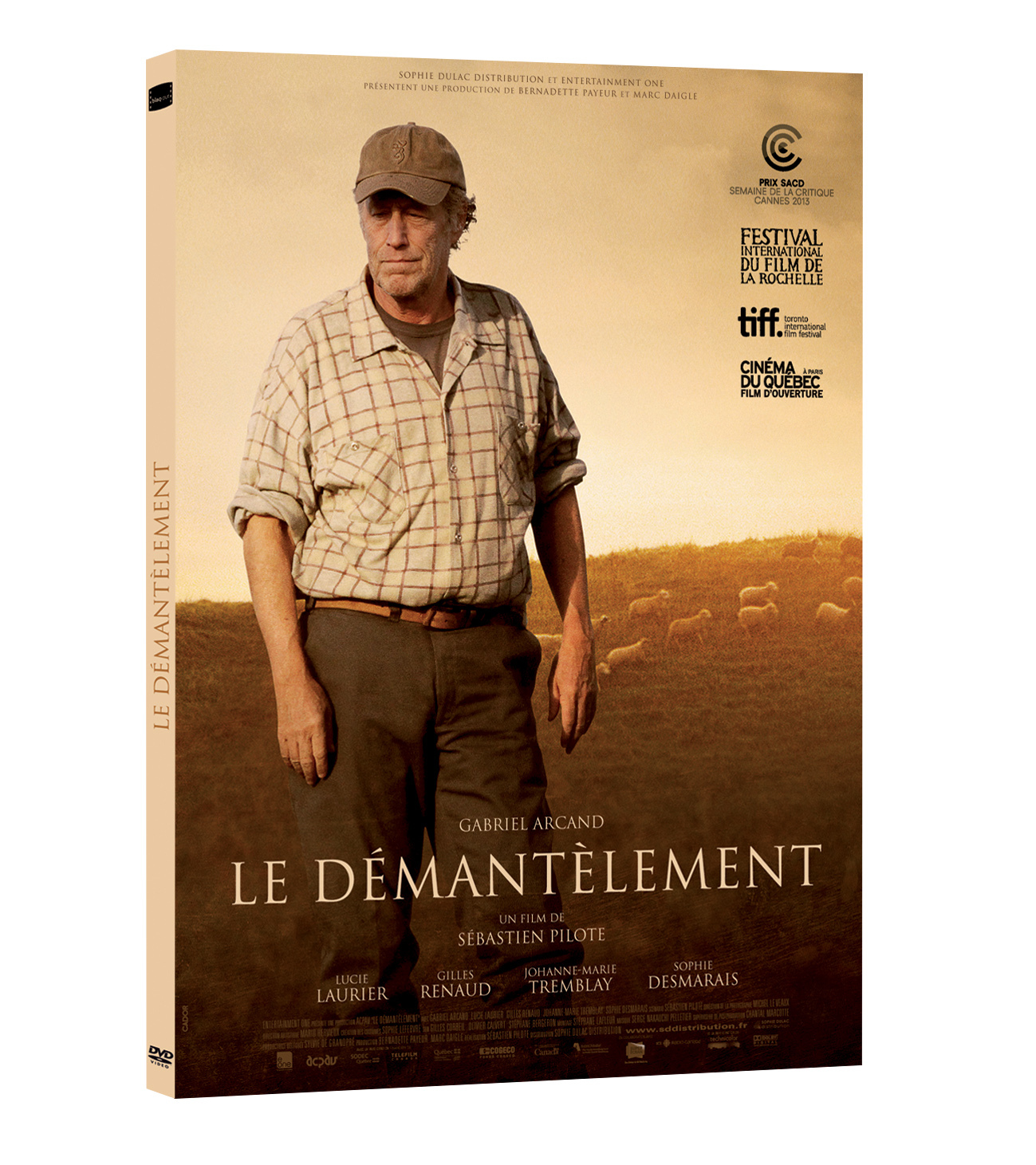 DEMANTELEMENT (LE) - DVD