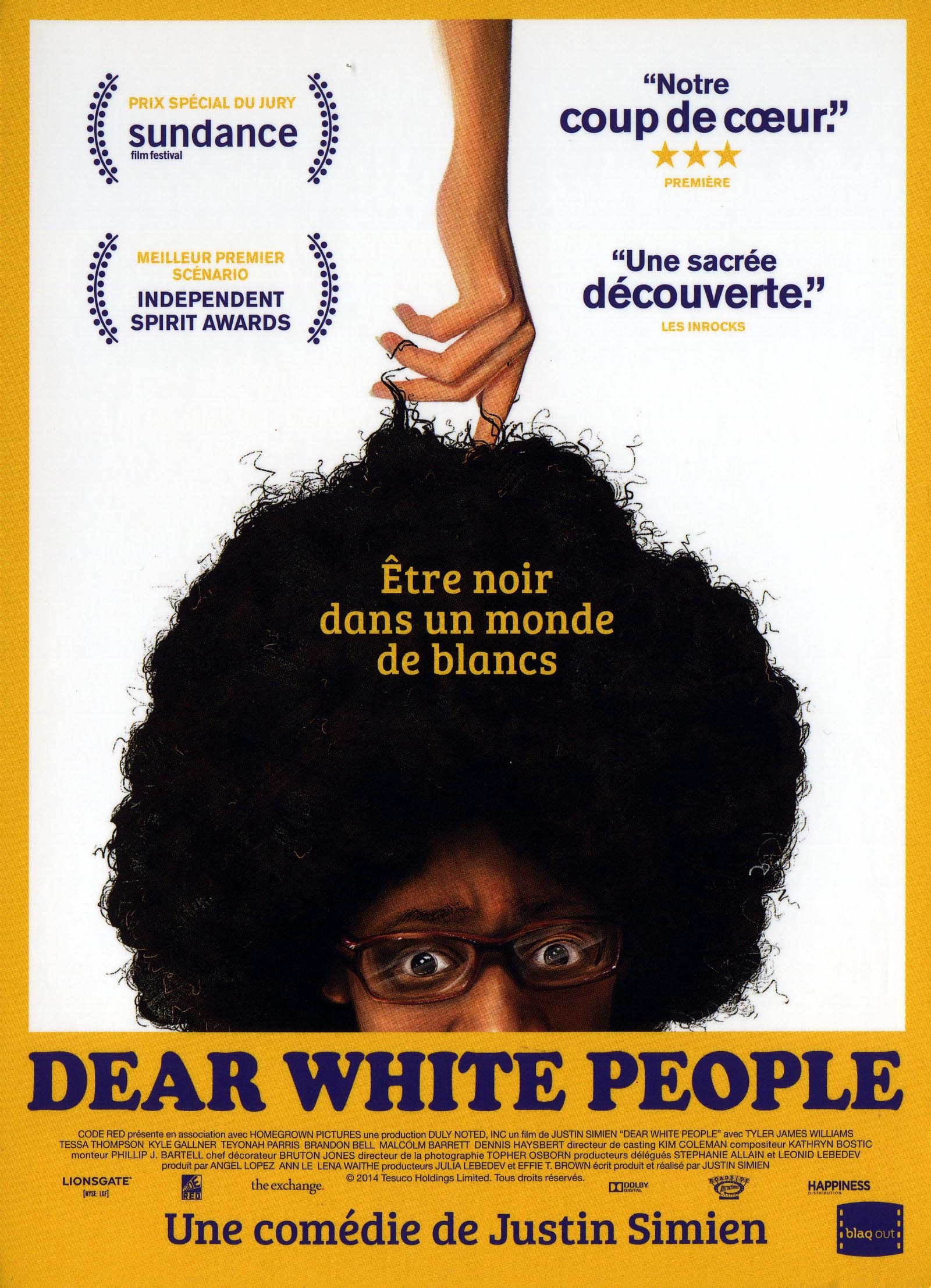 DEAR WHITE PEOPLE - DVD