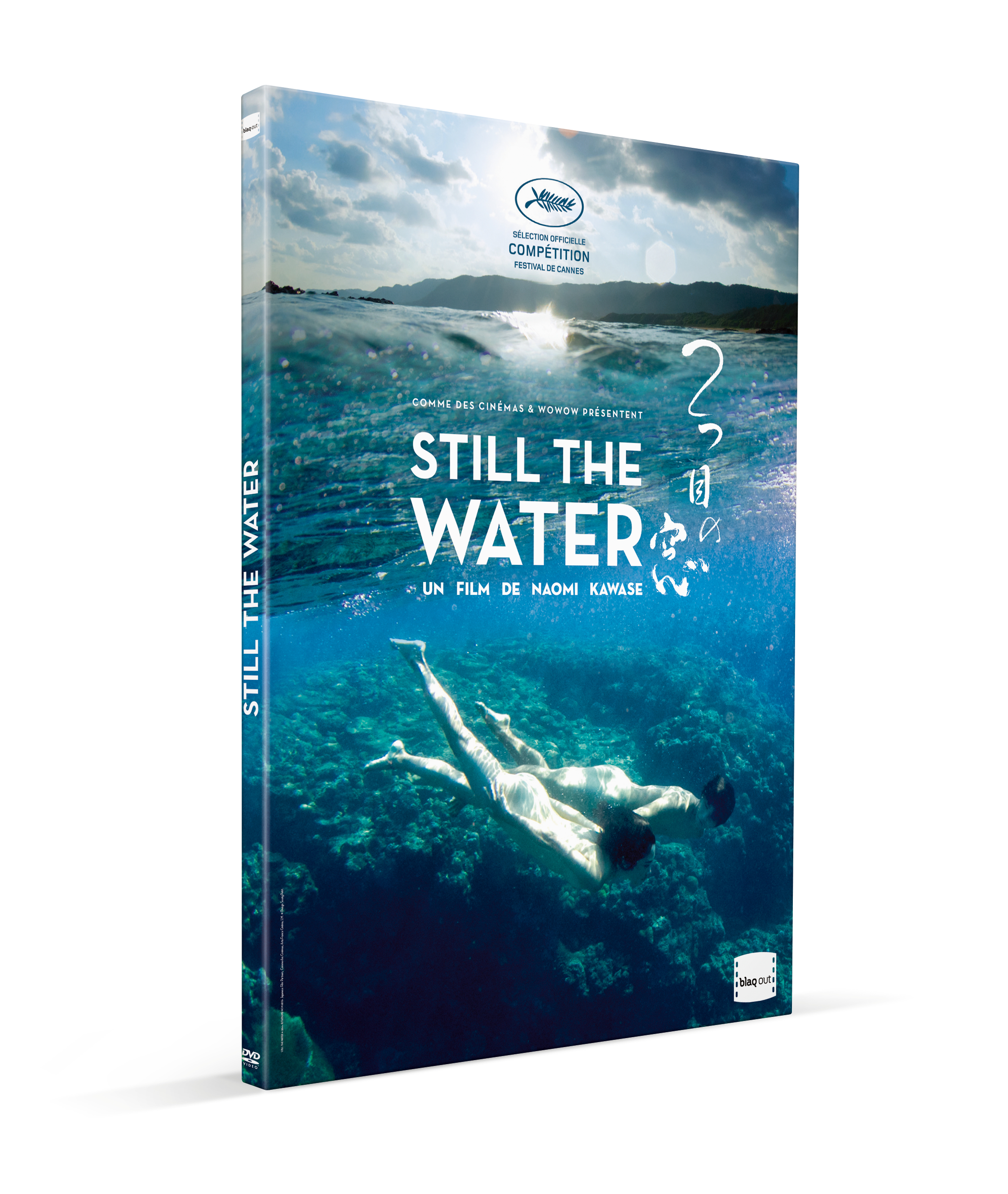 STILL THE WATER - DVD