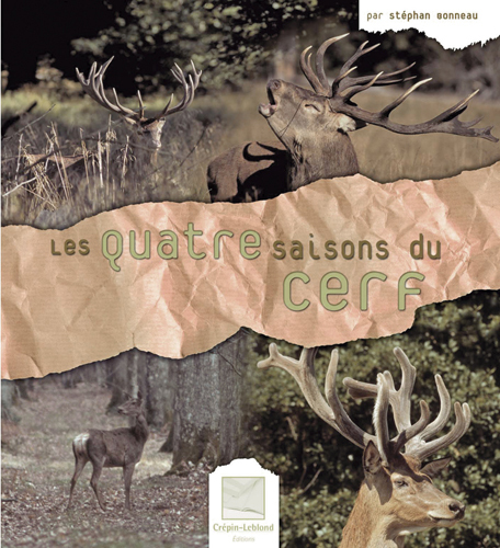 LES 4 SAISONS DU CERF