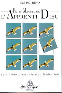 Petit manuel de l'apprenti-Dieu