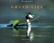 Grand-lieu un lac tropical en pays nantais