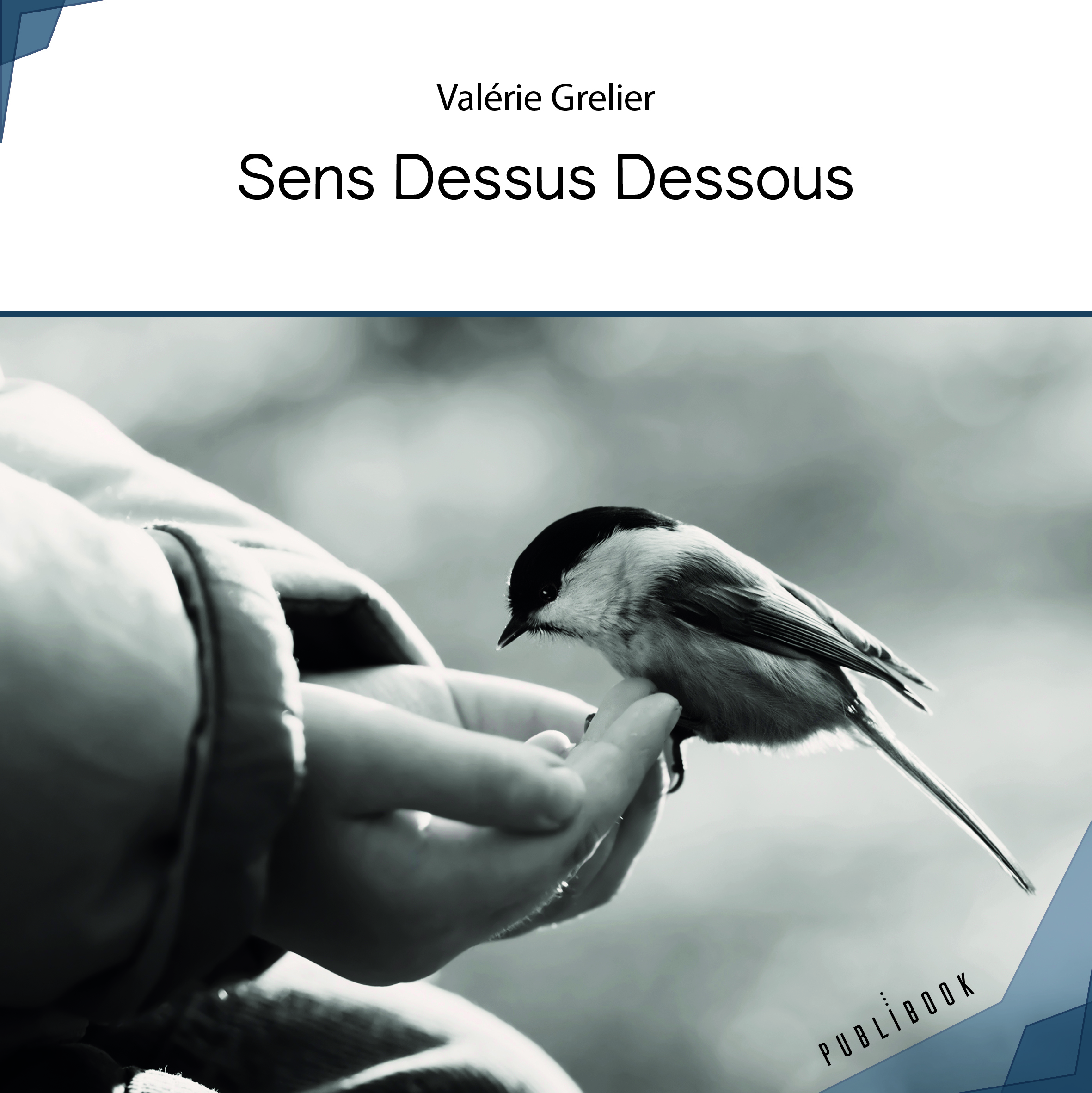 Sens Dessus Dessous