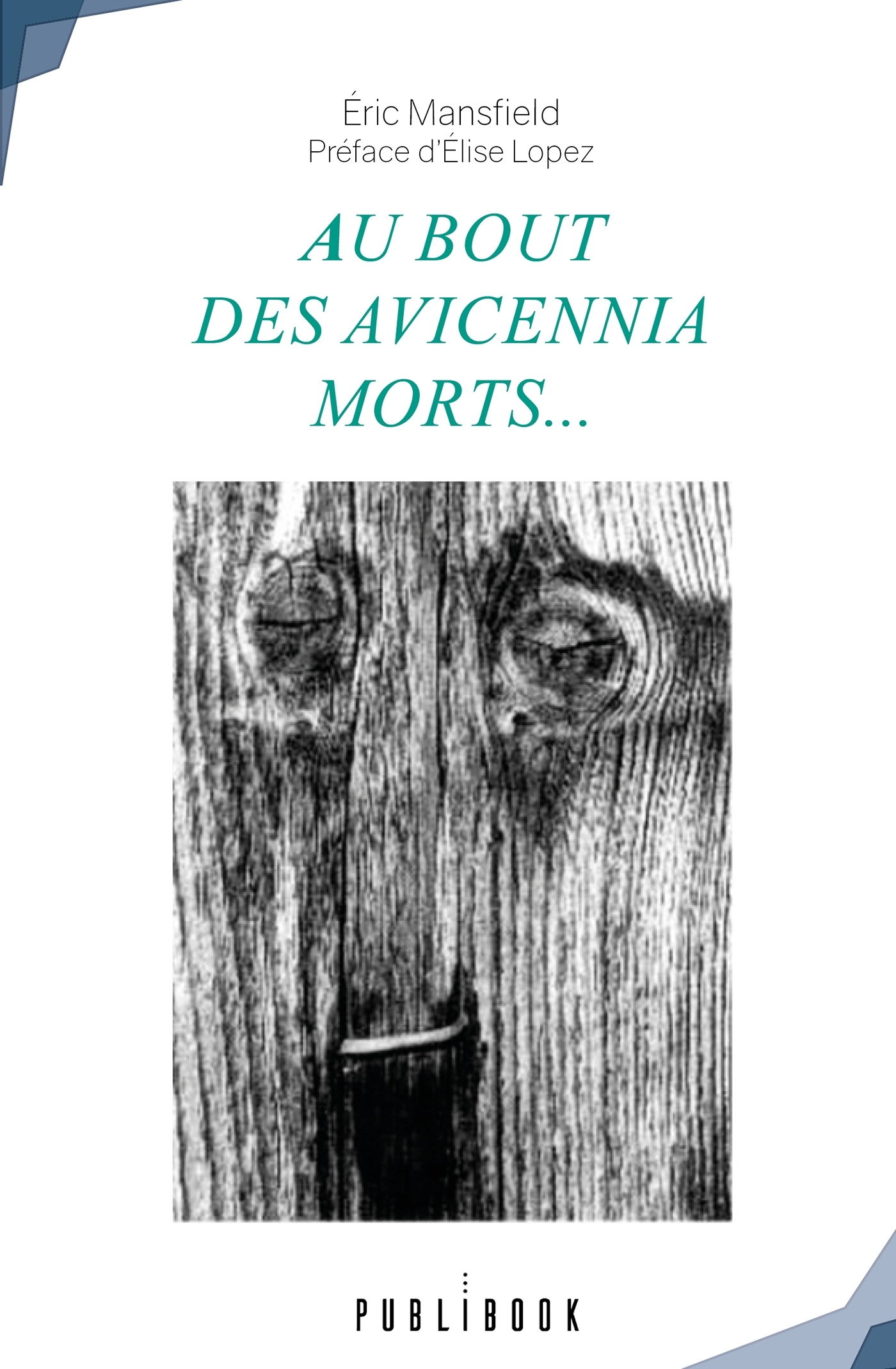 Au bout des Avicennia morts...