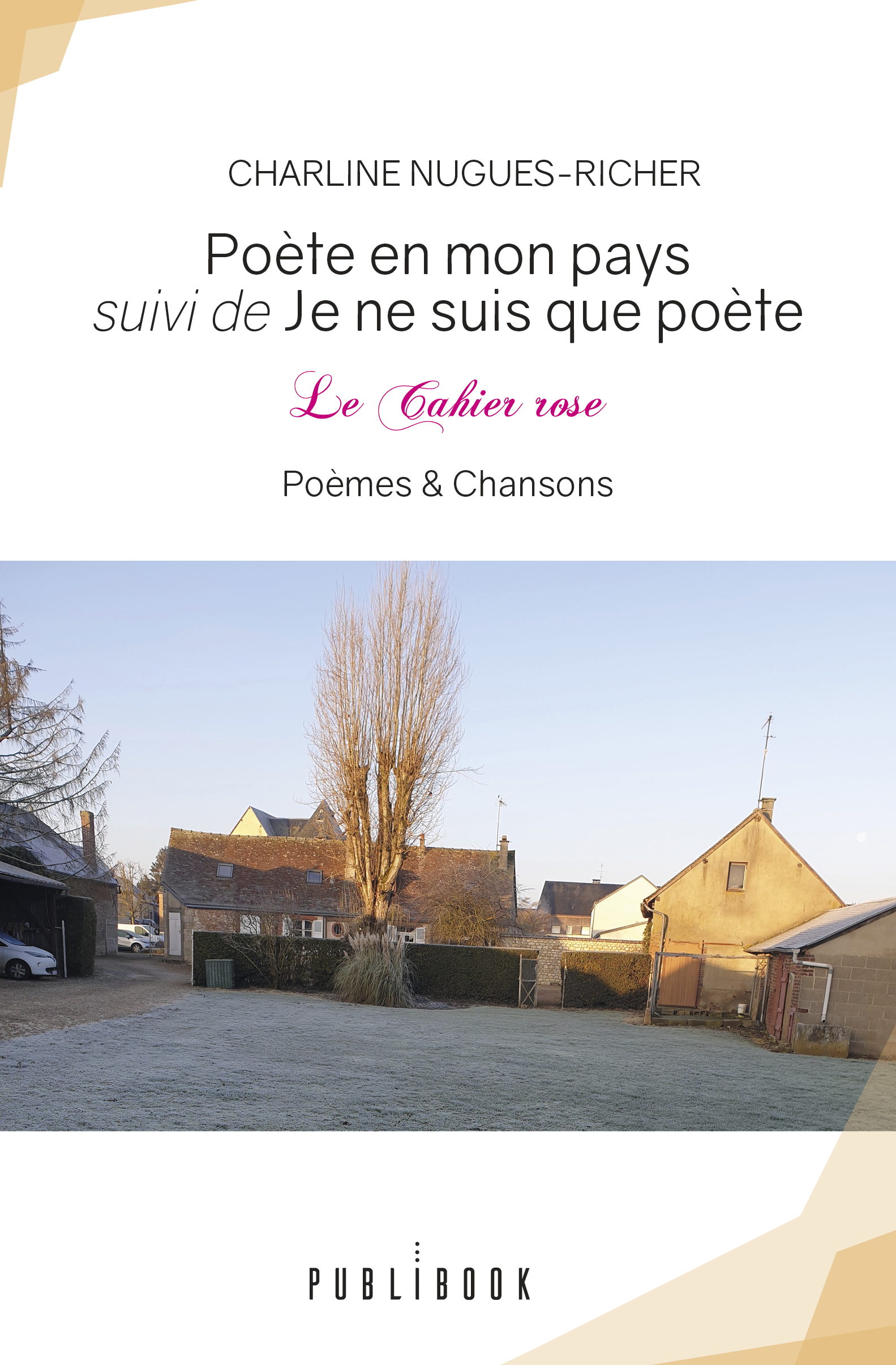 POETE EN MON PAYS SUIVI DE JE NE SUIS QUE POETE