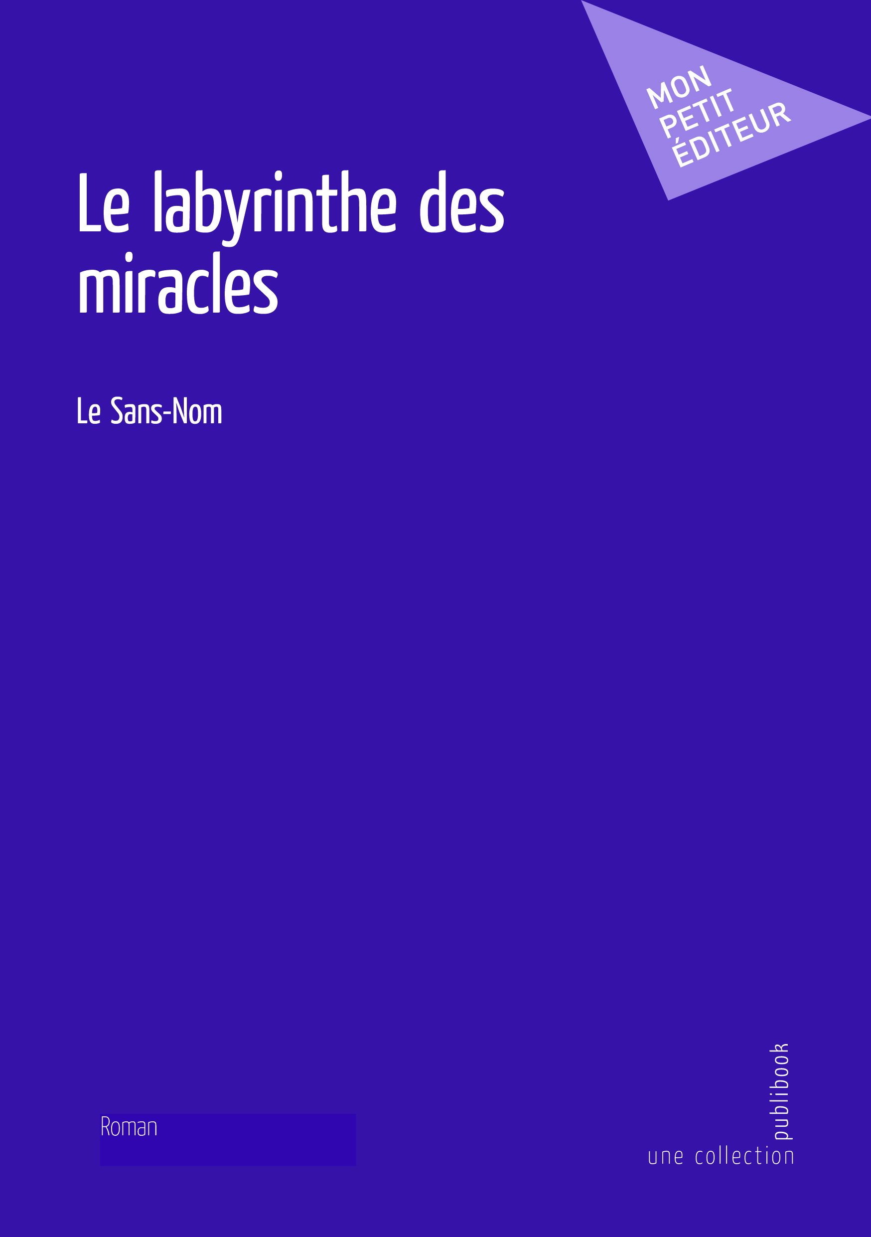 Le labyrinthe des miracles