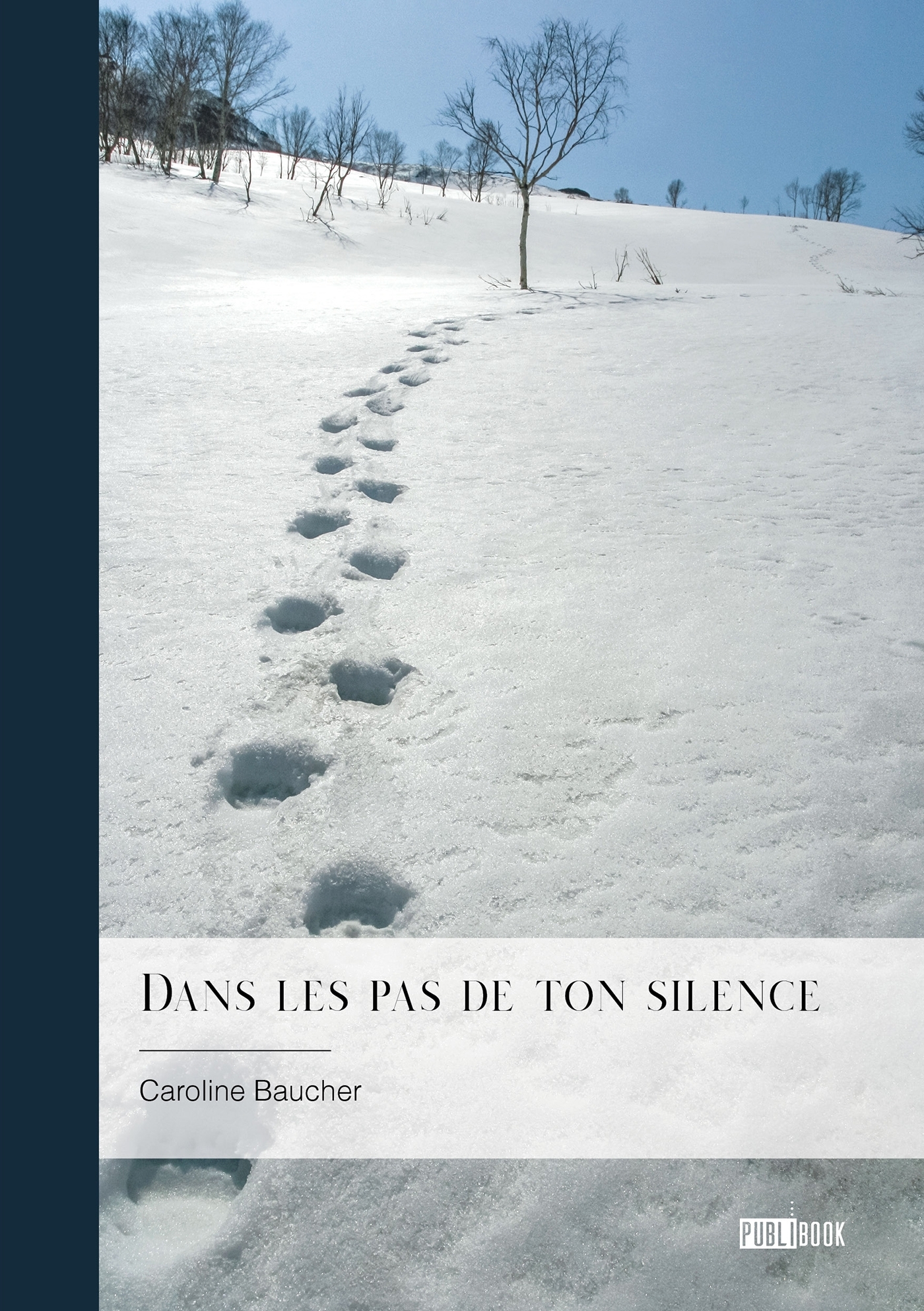 Dans les pas de ton silence