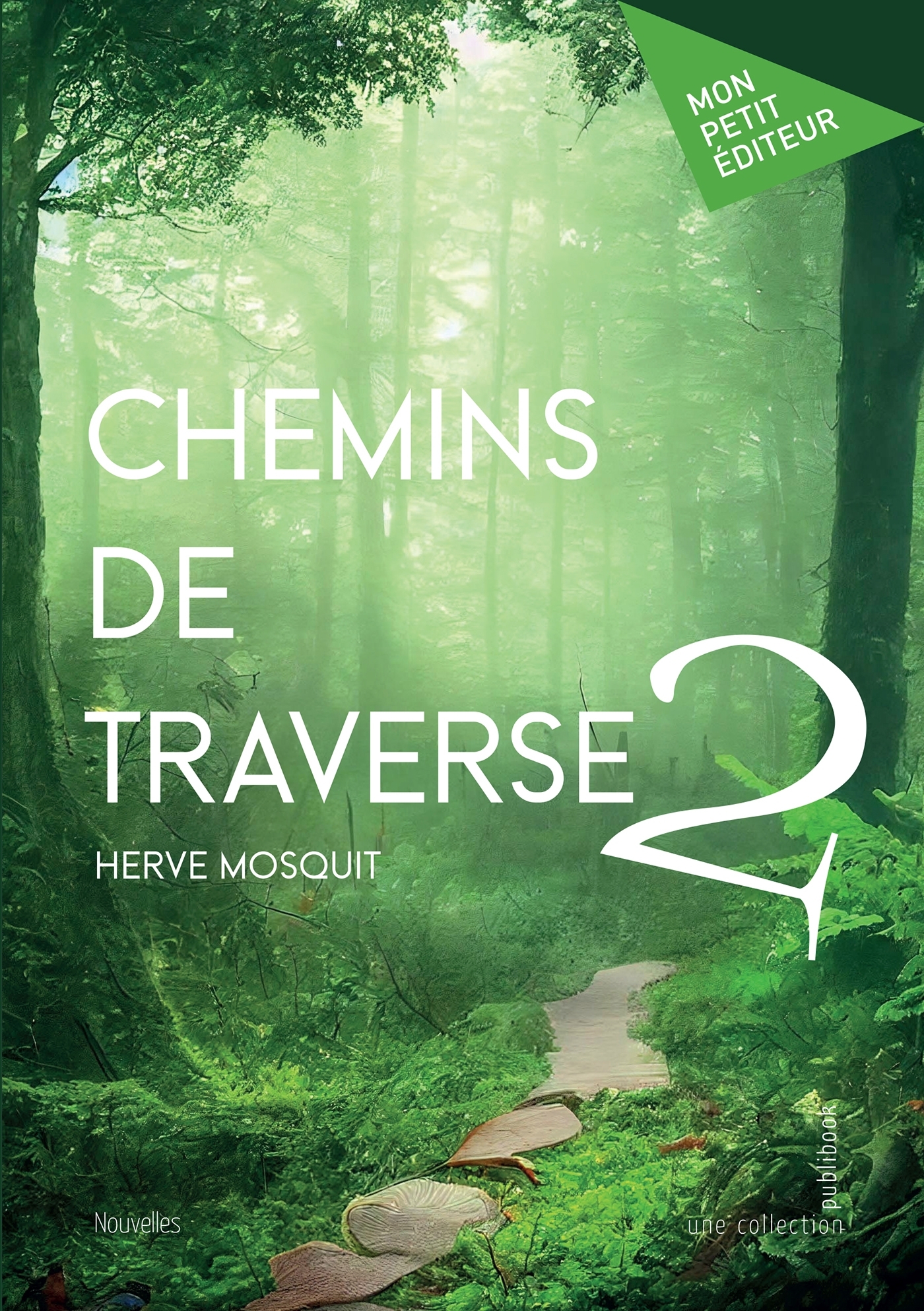 Chemins de traverse - Tome 2