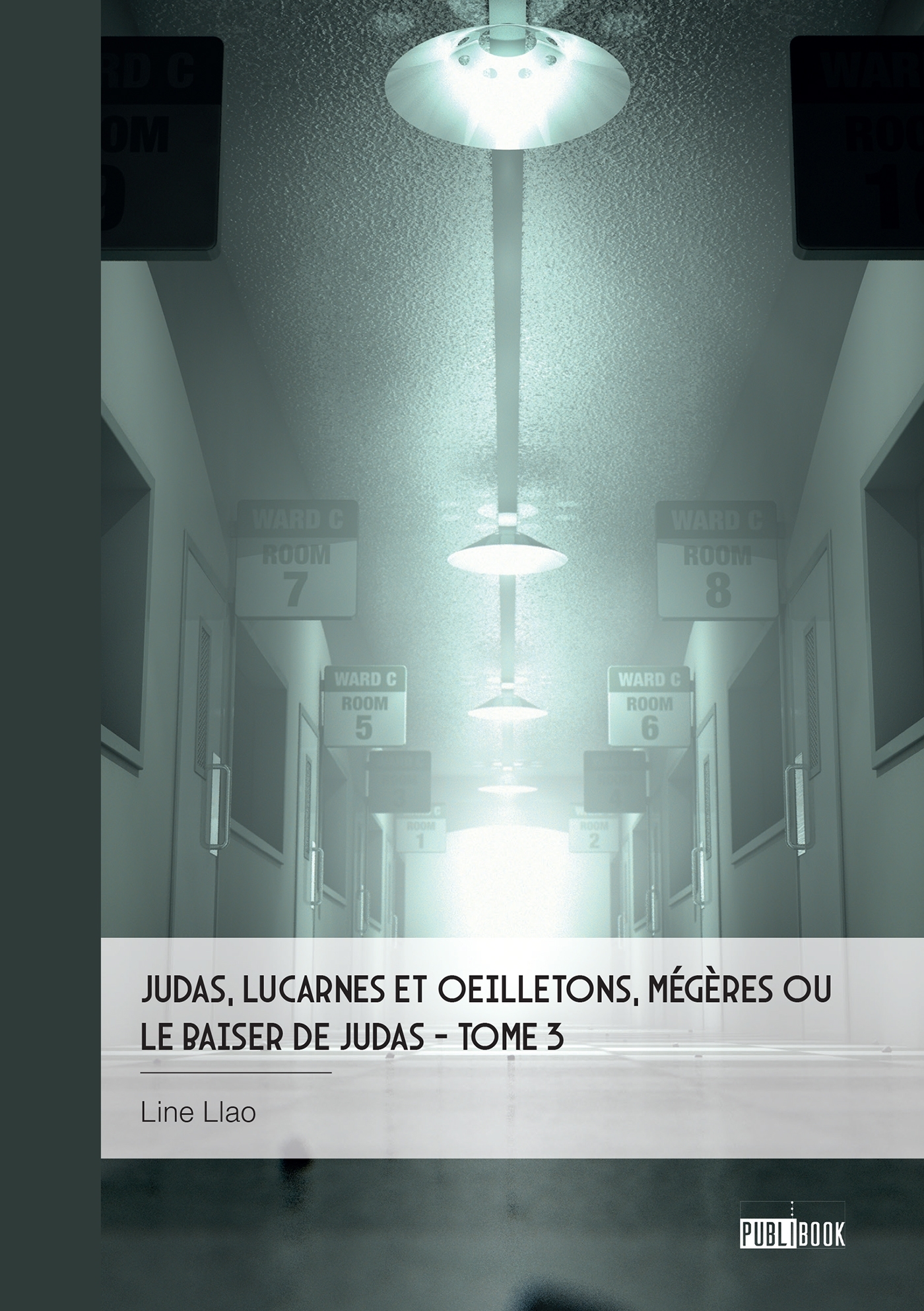 Judas, lucarnes et oeilletons, Mégères ou  Le baiser de Judas - Tome 3