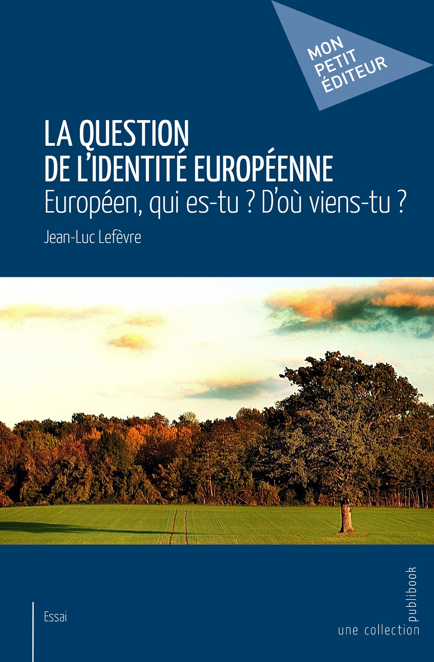 La question de l'identité européenne