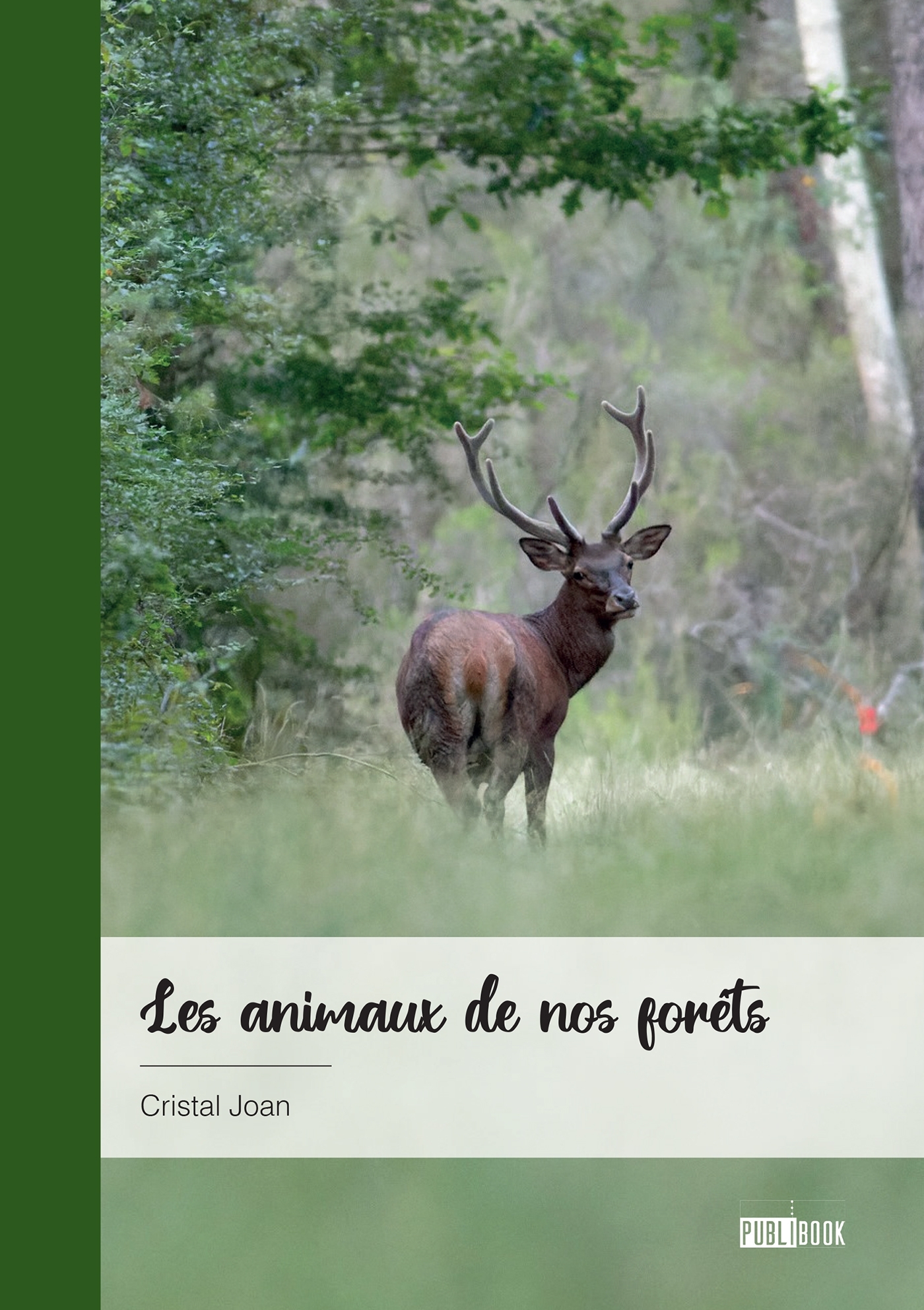 Les animaux de nos forêts