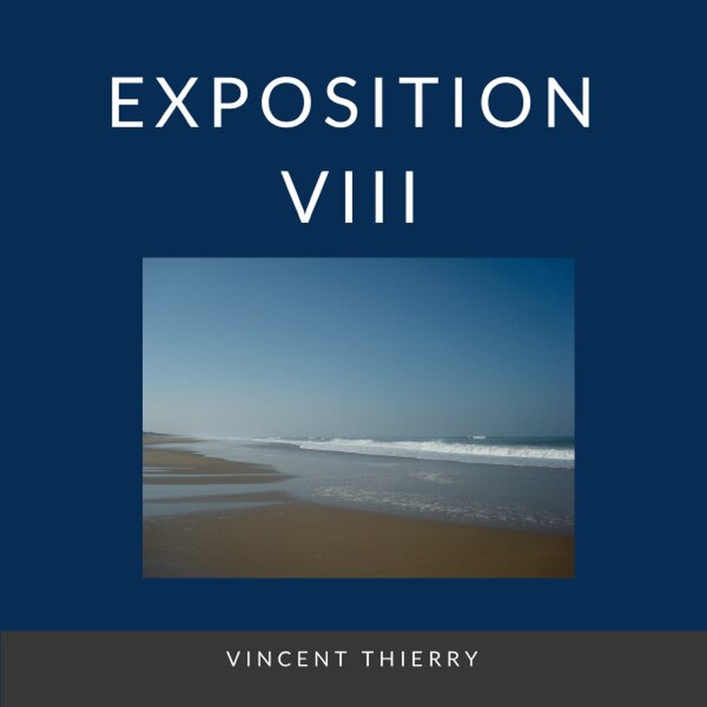 EXPOSITION VIII