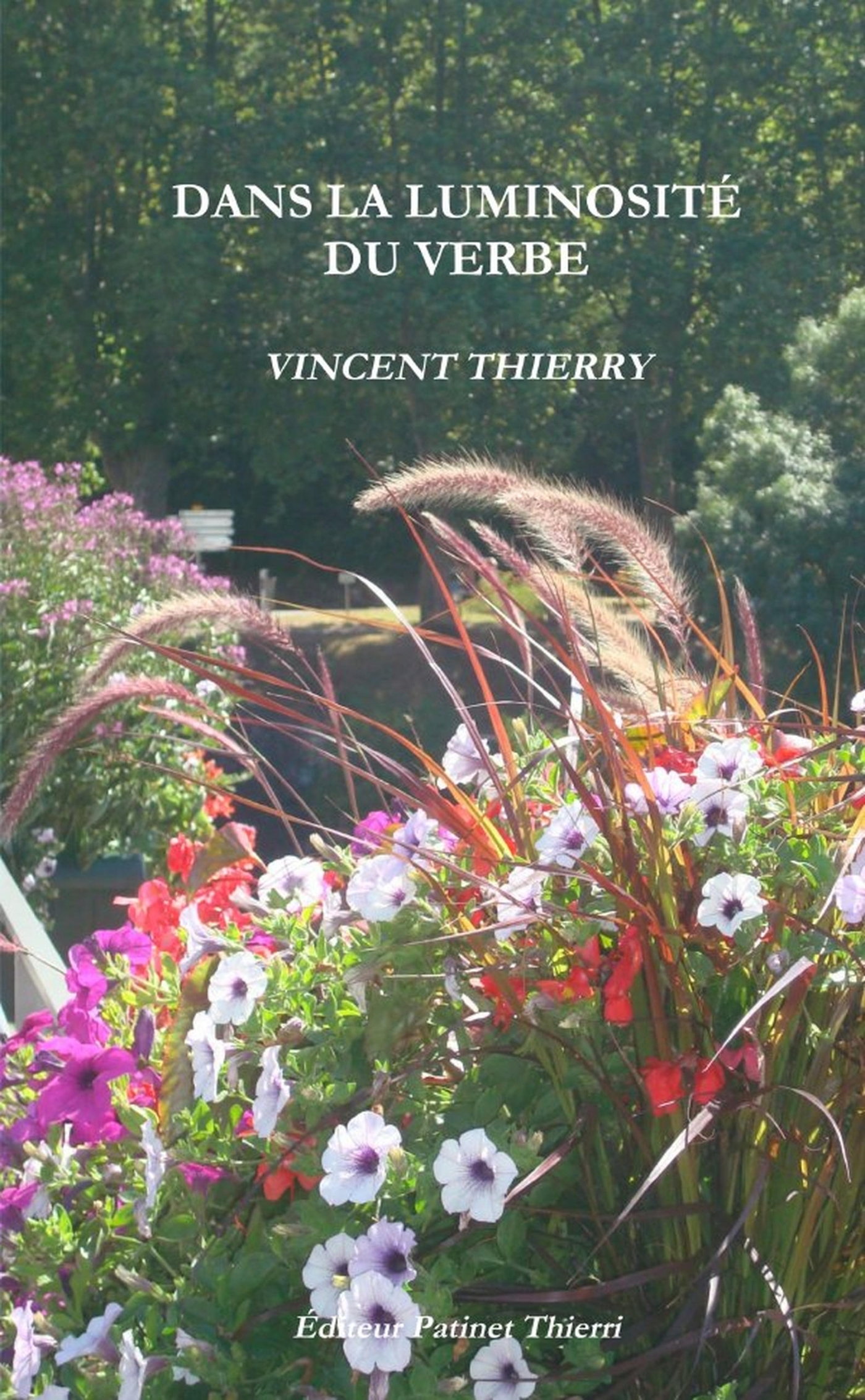 DANS LA LUMINOSITÉ DU VERBE