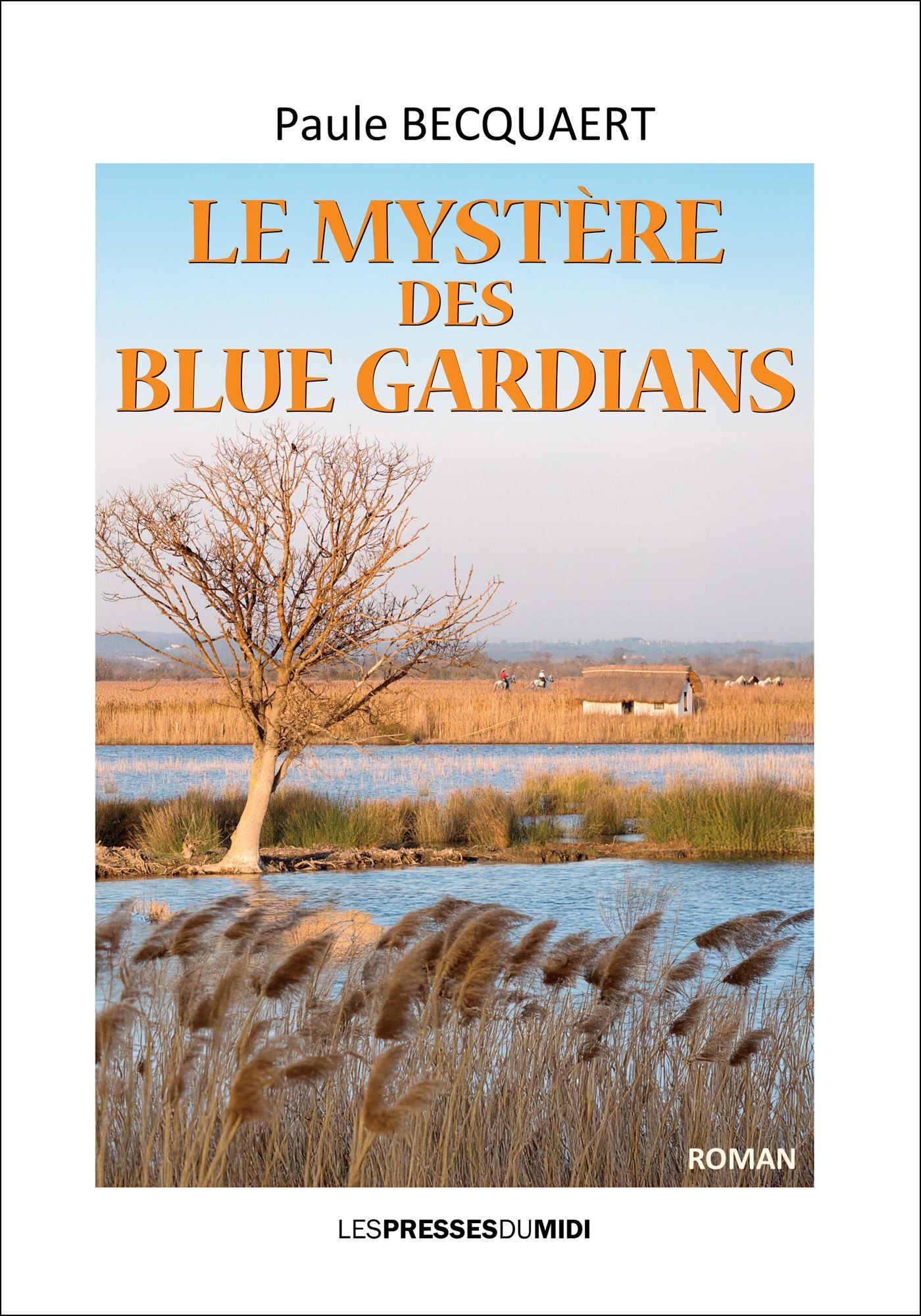 LE MYSTERE DES BLUE GARDIANS